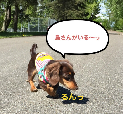 BlogPaint