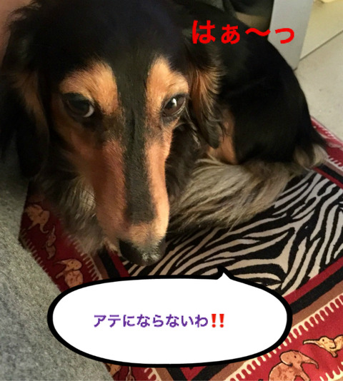 BlogPaint
