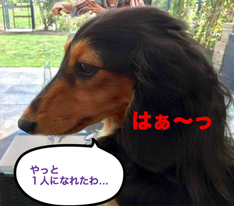 BlogPaint