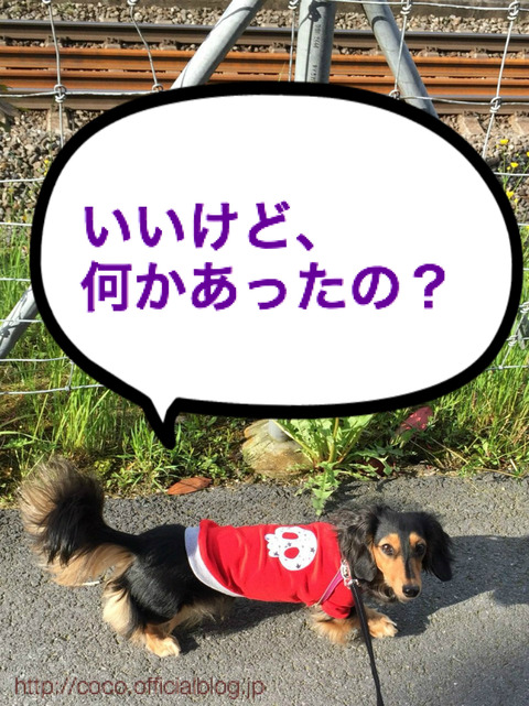 BlogPaint