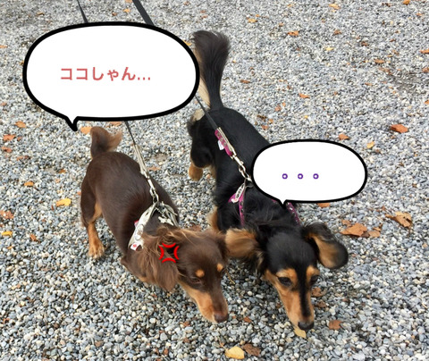 BlogPaint