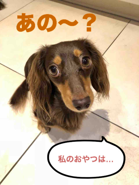 BlogPaint