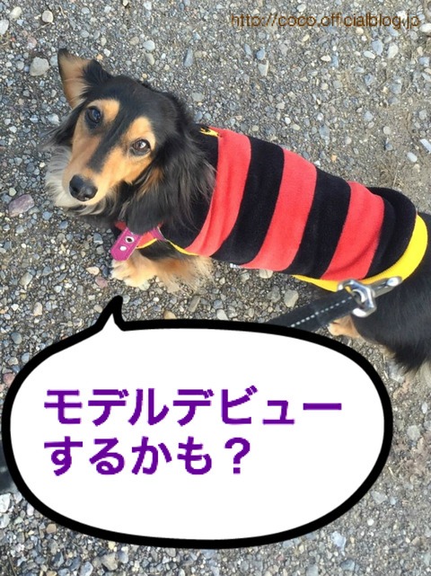 BlogPaint