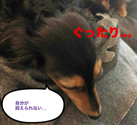 BlogPaint