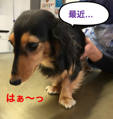 BlogPaint