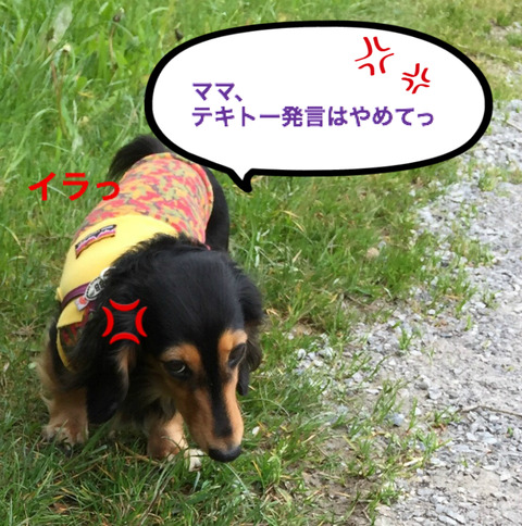 BlogPaint