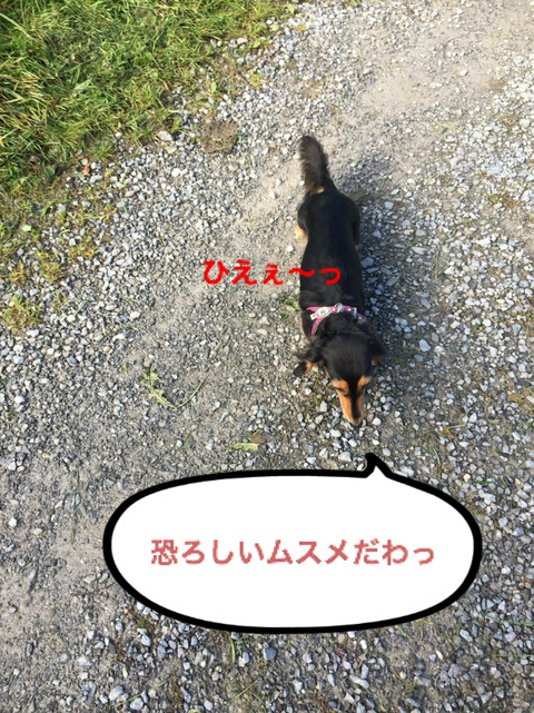 BlogPaint