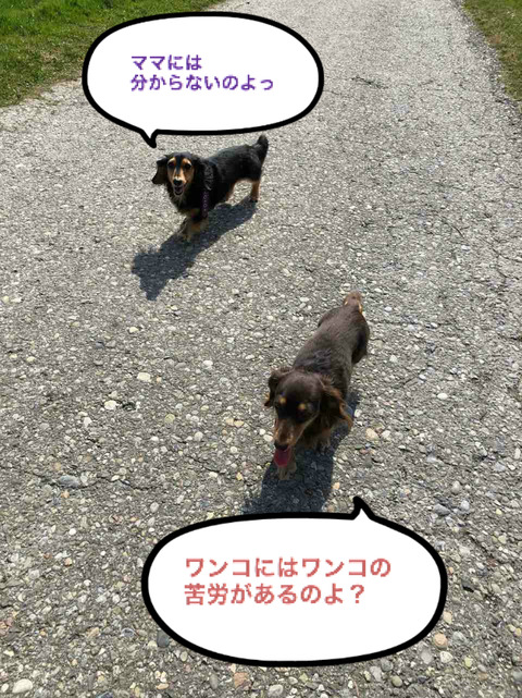 BlogPaint