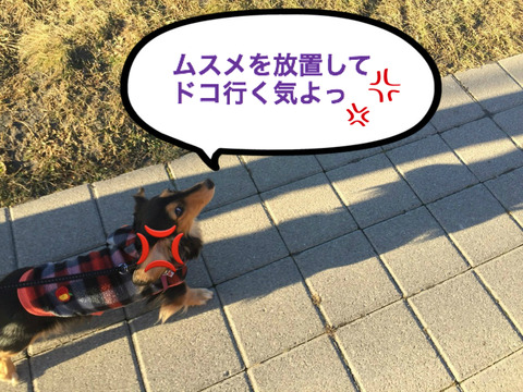 BlogPaint