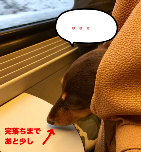 BlogPaint