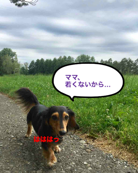 BlogPaint