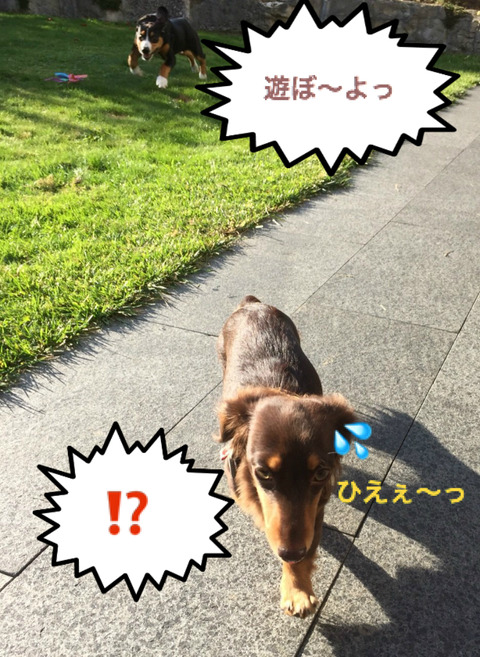 BlogPaint