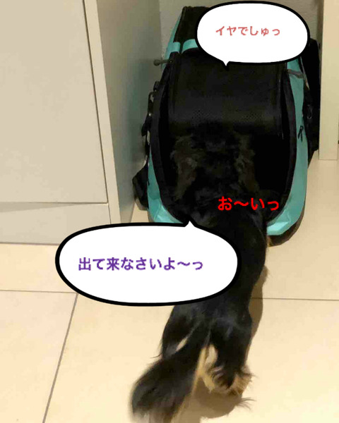 BlogPaint