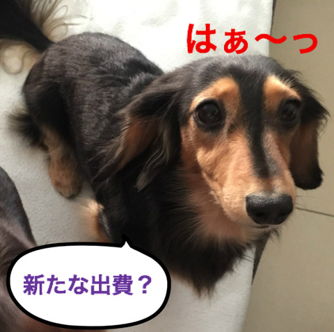 BlogPaint