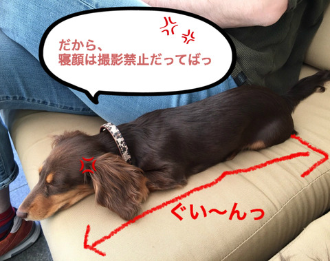 BlogPaint