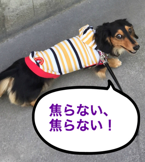 BlogPaint