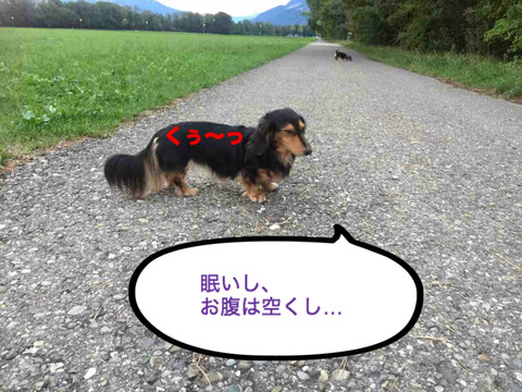 BlogPaint
