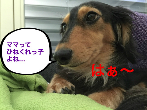 BlogPaint