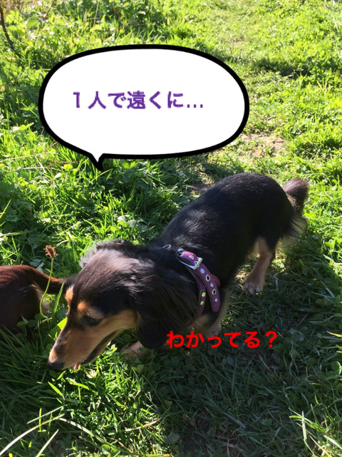 BlogPaint