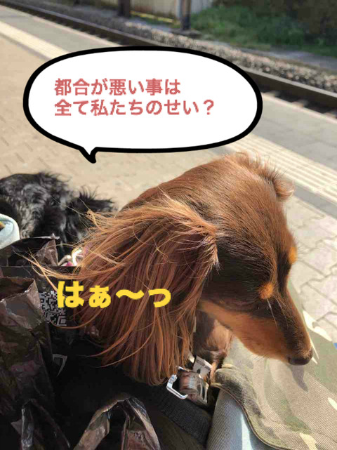 BlogPaint