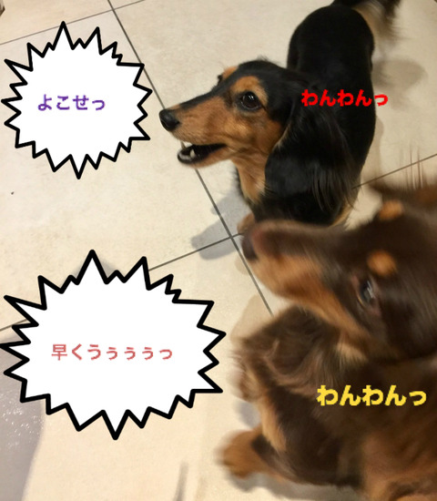 BlogPaint