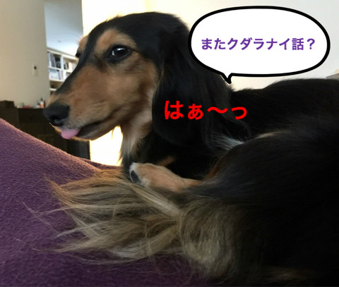 BlogPaint