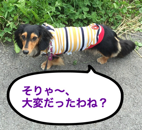 BlogPaint