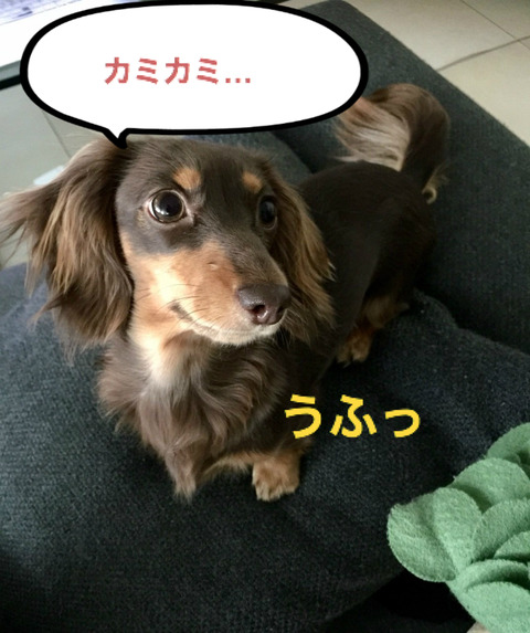 BlogPaint