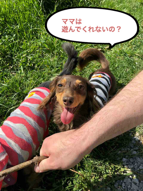 BlogPaint