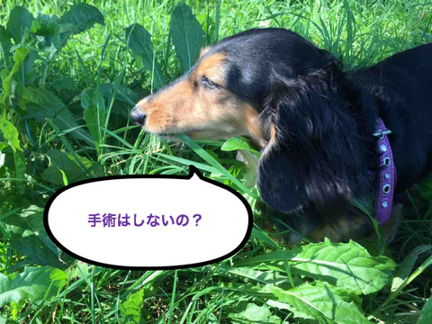 BlogPaint