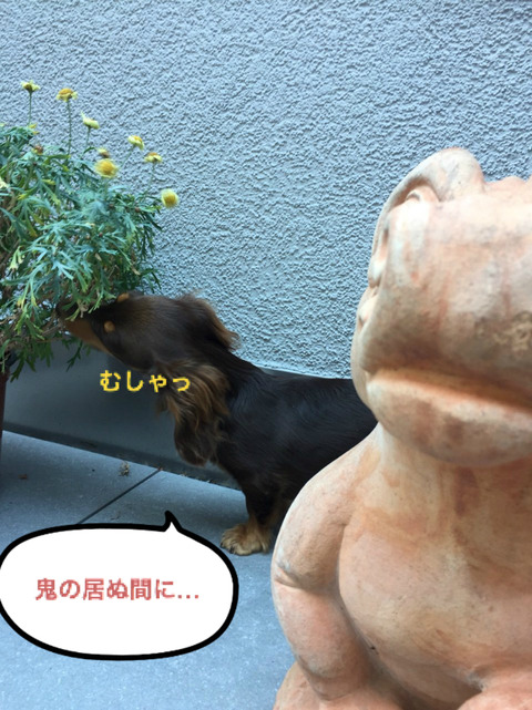 BlogPaint