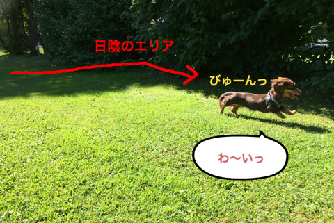 BlogPaint