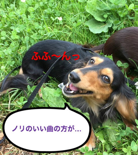 BlogPaint