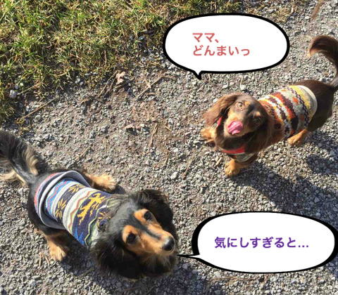 BlogPaint