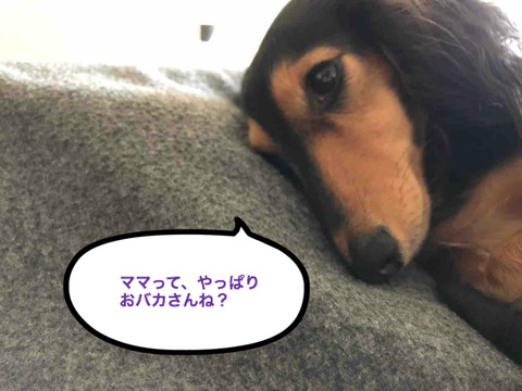BlogPaint
