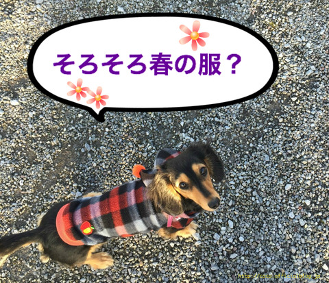 BlogPaint