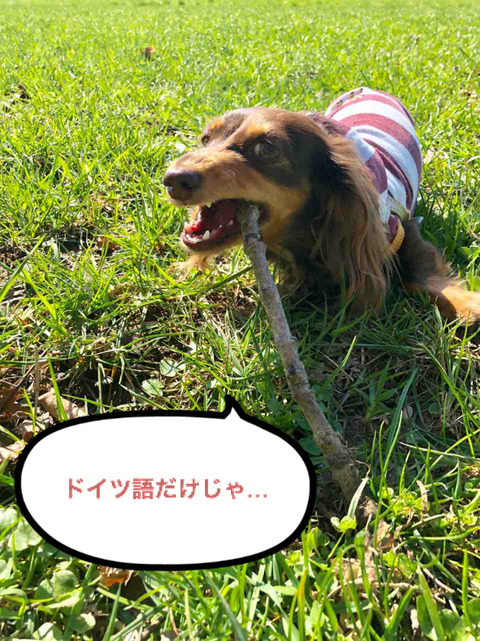 BlogPaint