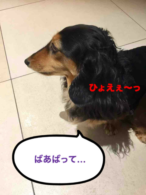 BlogPaint