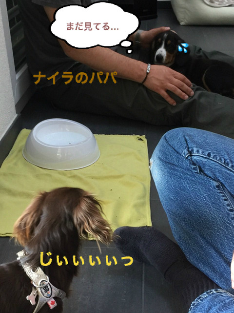 BlogPaint
