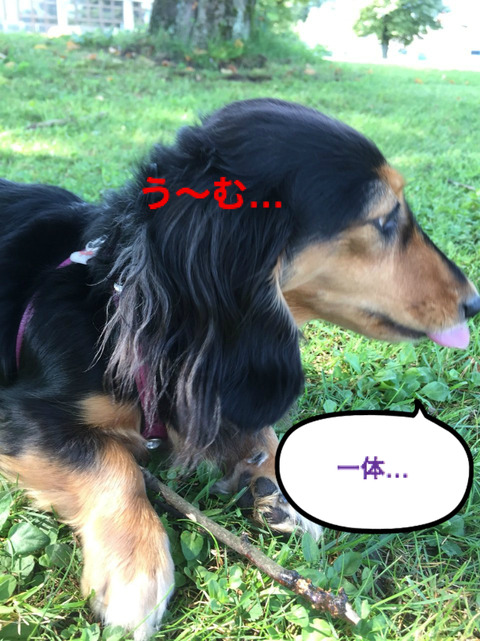 BlogPaint