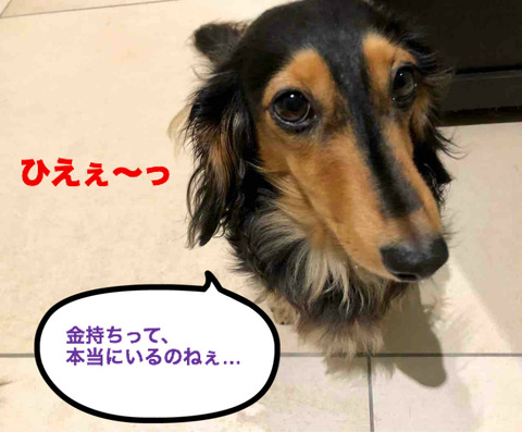 BlogPaint