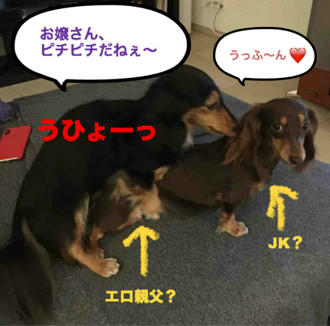 BlogPaint