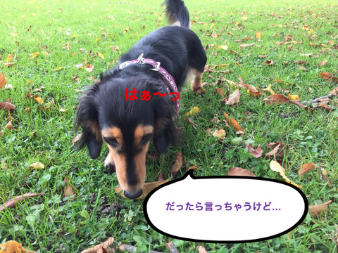 BlogPaint