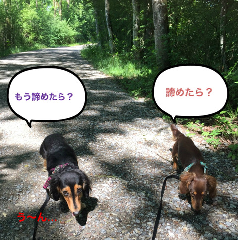 BlogPaint