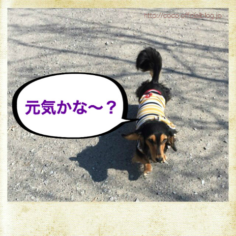 BlogPaint