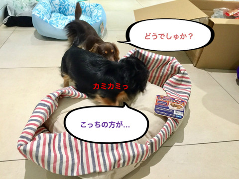 BlogPaint