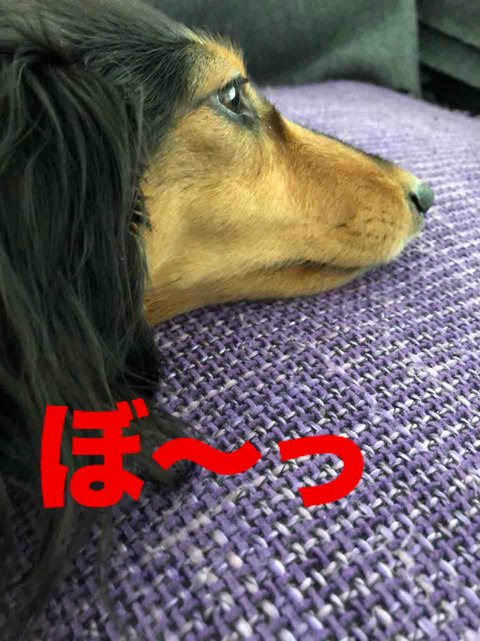 BlogPaint