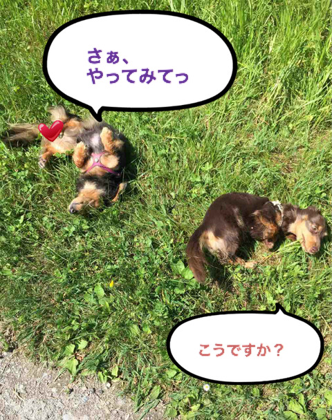 BlogPaint