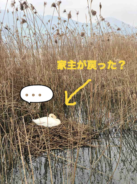 BlogPaint