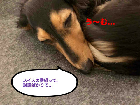 BlogPaint